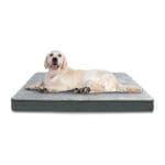 orthopedic dog bed for large dogs