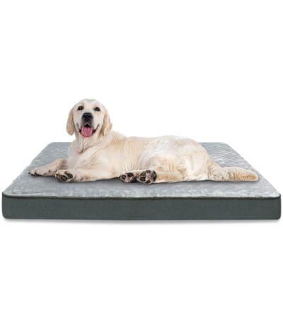orthopedic dog bed for large dogs