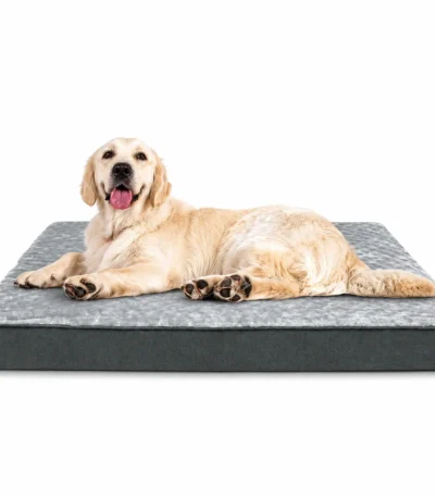 orthopedic dog bed for large dogs 7