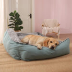 orthopedic dog bed with bolster 1