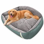 orthopedic dog bed with bolster