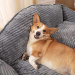 orthopedic dog bed with bolster 3