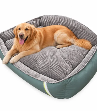 orthopedic dog bed with bolster