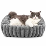 orthopedic kitten bed