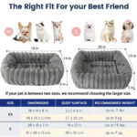 orthopedic kitten bed 4