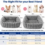 orthopedic kitten bed 4
