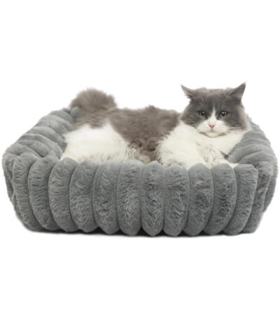 orthopedic kitten bed