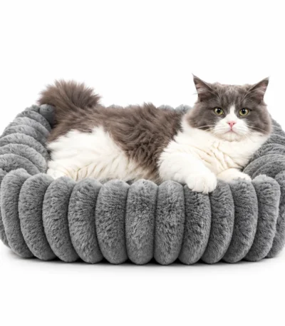 orthopedic kitten bed