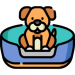 Dog Beds