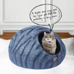premium cat bed 4