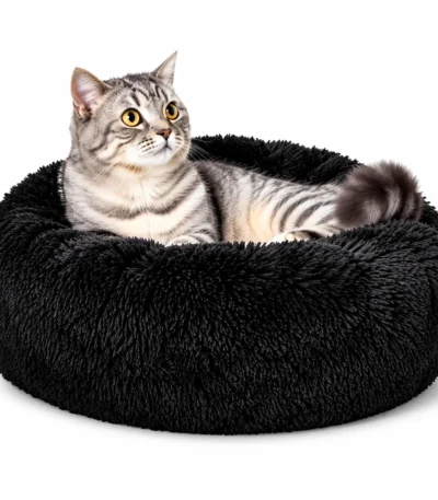 round cat bed
