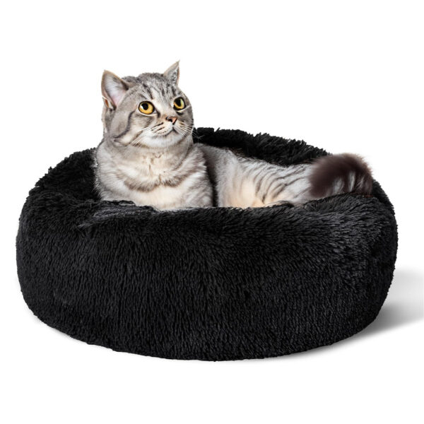 round cat bed