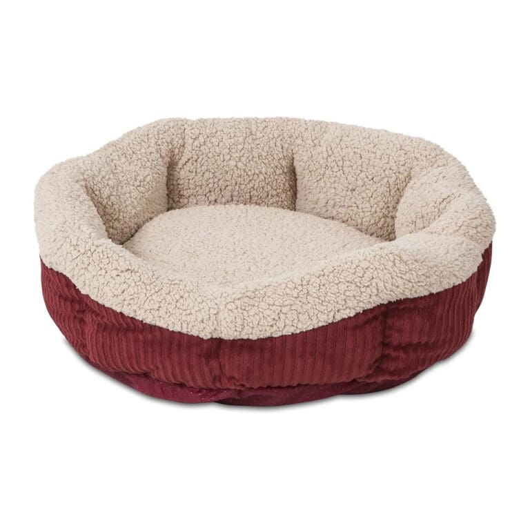 self warming cat bed 2