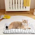 thermal cat bed 1