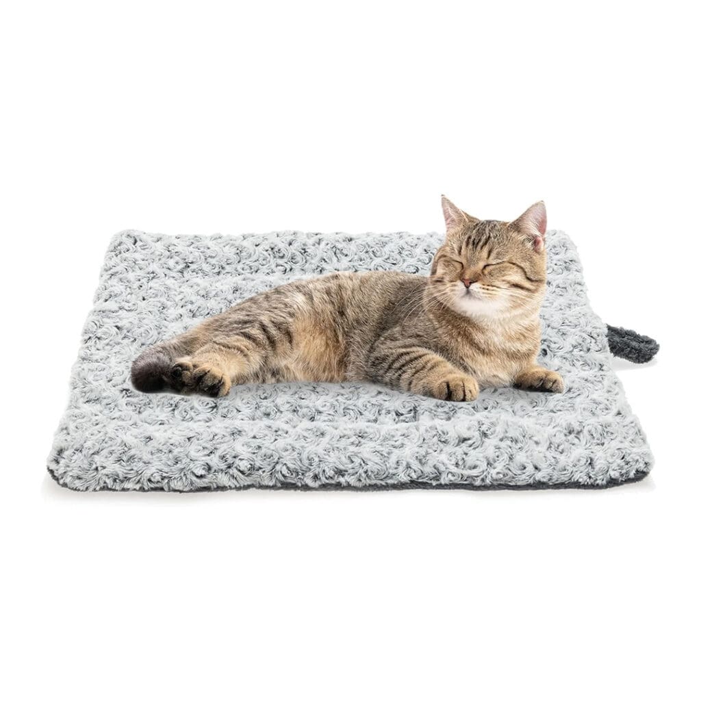 warming cat bed for indoor cats