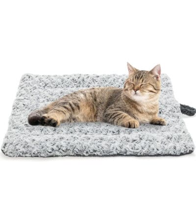 warming cat bed for indoor cats