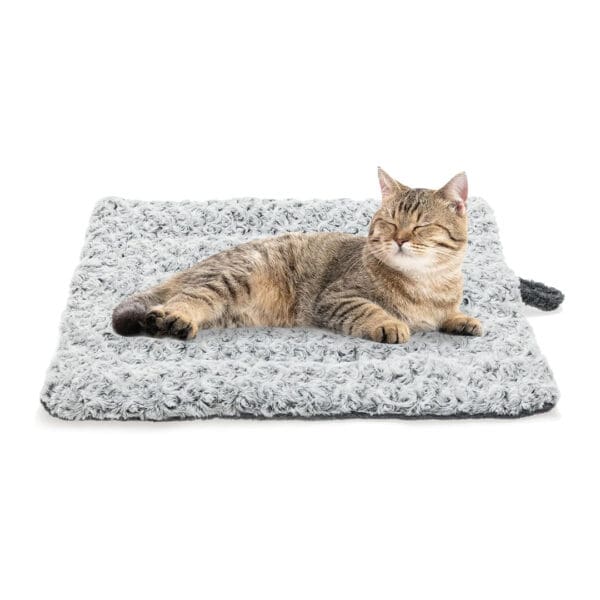 warming cat bed for indoor cats