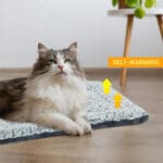 warming cat bed for indoor cats 4