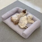 waterproof orthopedic cat bed