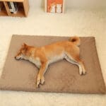 waterproof orthopedic dog bed 2