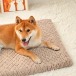 waterproof orthopedic dog bed 4 1
