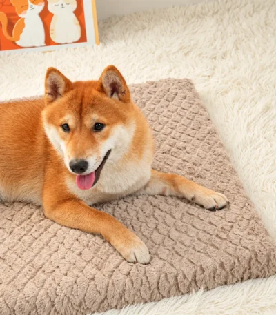 waterproof orthopedic dog bed 4 1
