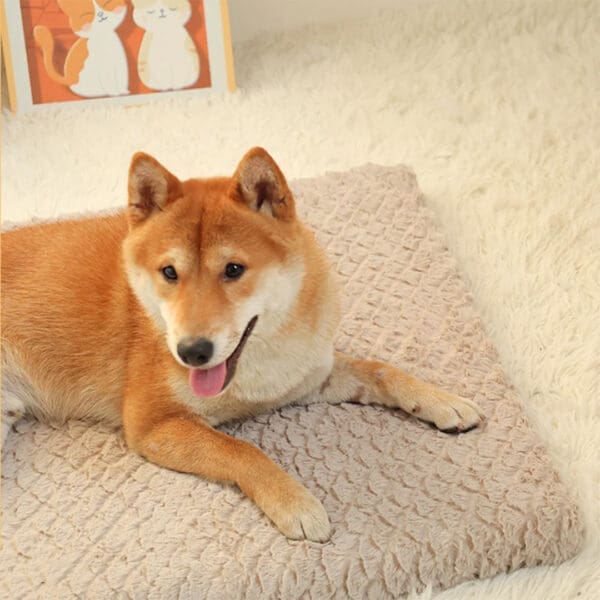 waterproof orthopedic dog bed 4