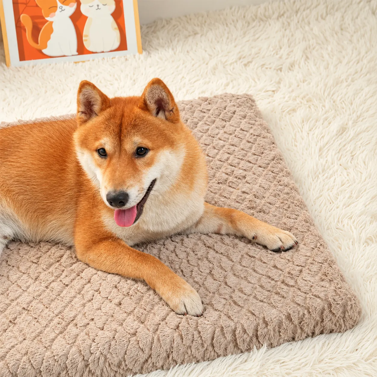 waterproof orthopedic dog bed 4 1