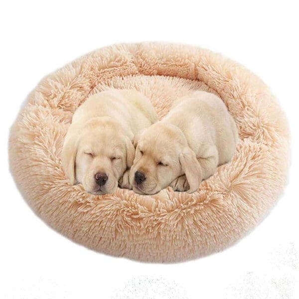 orthopedic calming dog bed beige