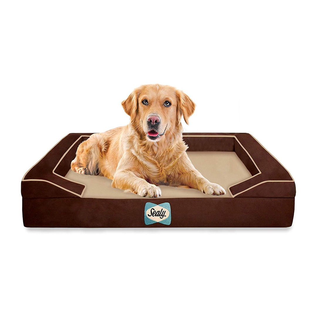 orthopedic dog bed for arthritis 1