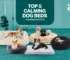 Top 5 calming dog beds for anxious pets by Snuggle Paws, featuring soft donut and orthopaedic beds for pet anxiety relief.
