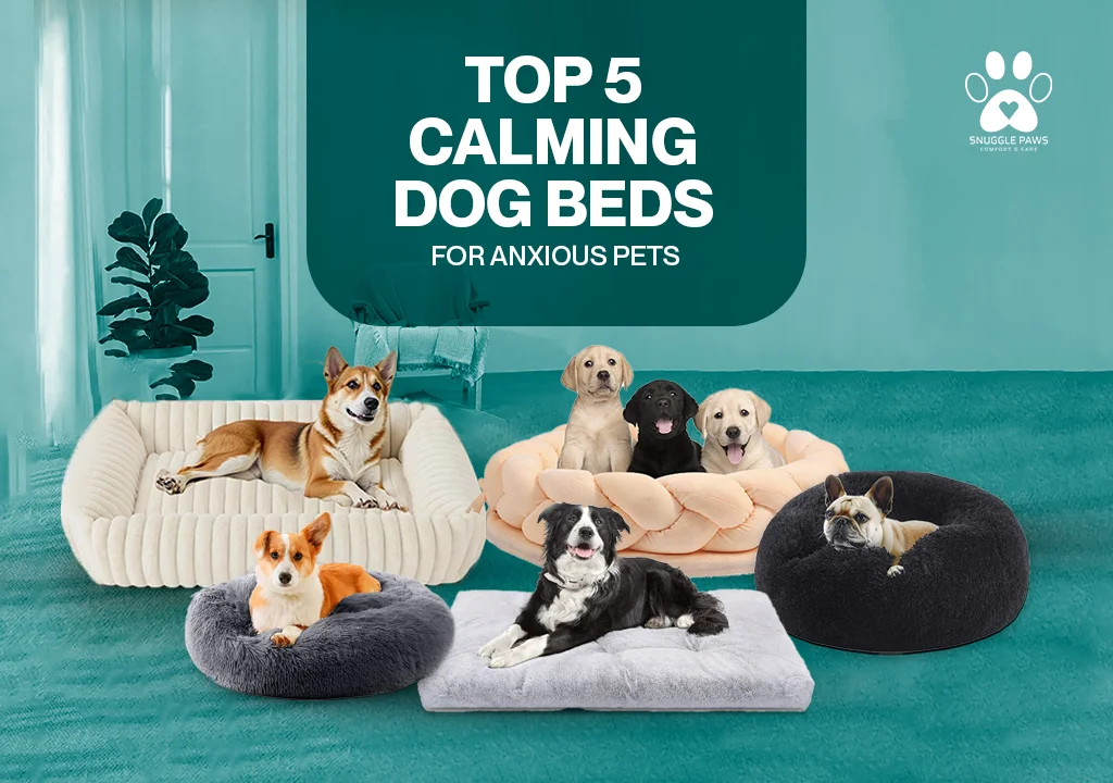 Top 5 calming dog beds for anxious pets by Snuggle Paws, featuring soft donut and orthopaedic beds for pet anxiety relief.