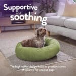 calming nest dog bed 2
