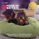 calming nest dog bed 6