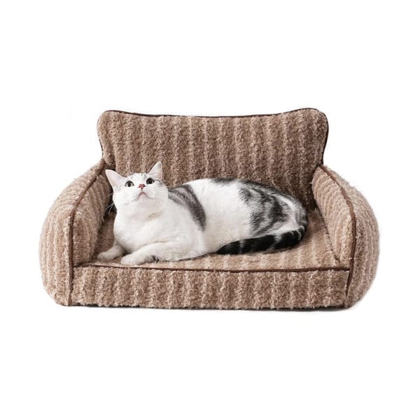 orthopedic cat sofa brown