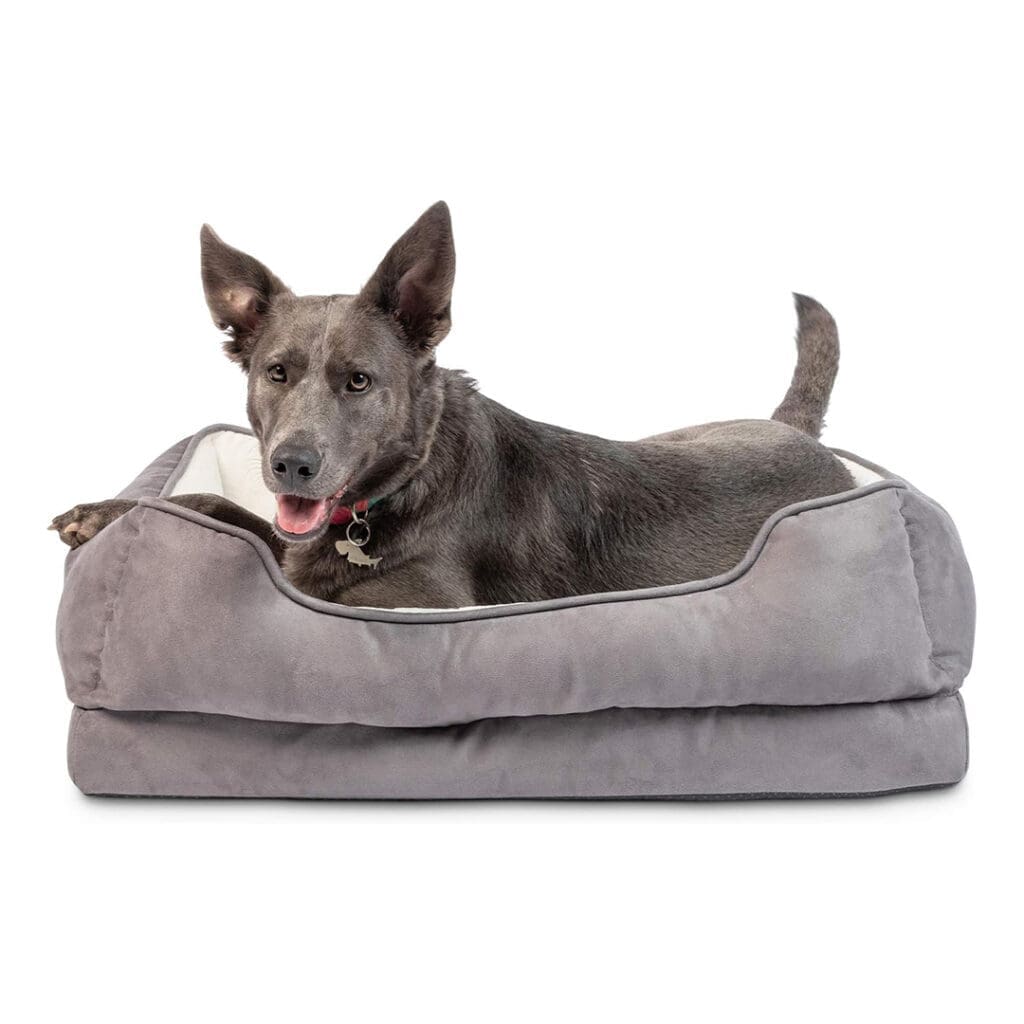 orthopedic dog bed for arthritis
