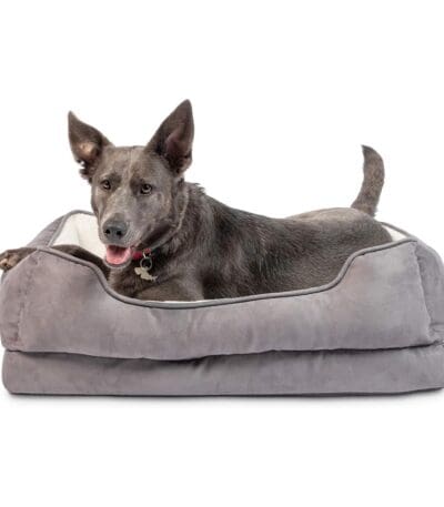 orthopedic dog bed for arthritis