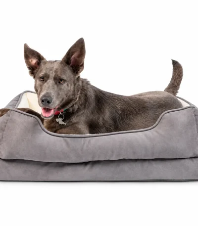 orthopedic dog bed for arthritis 7