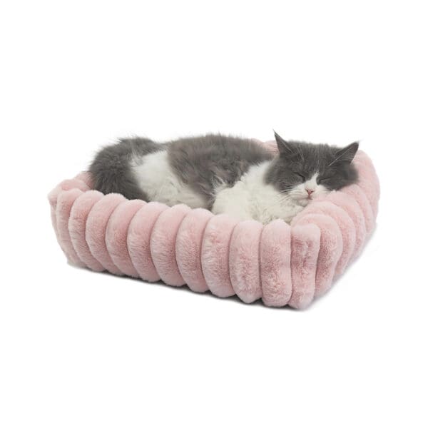 orthopedic kitten bed pink