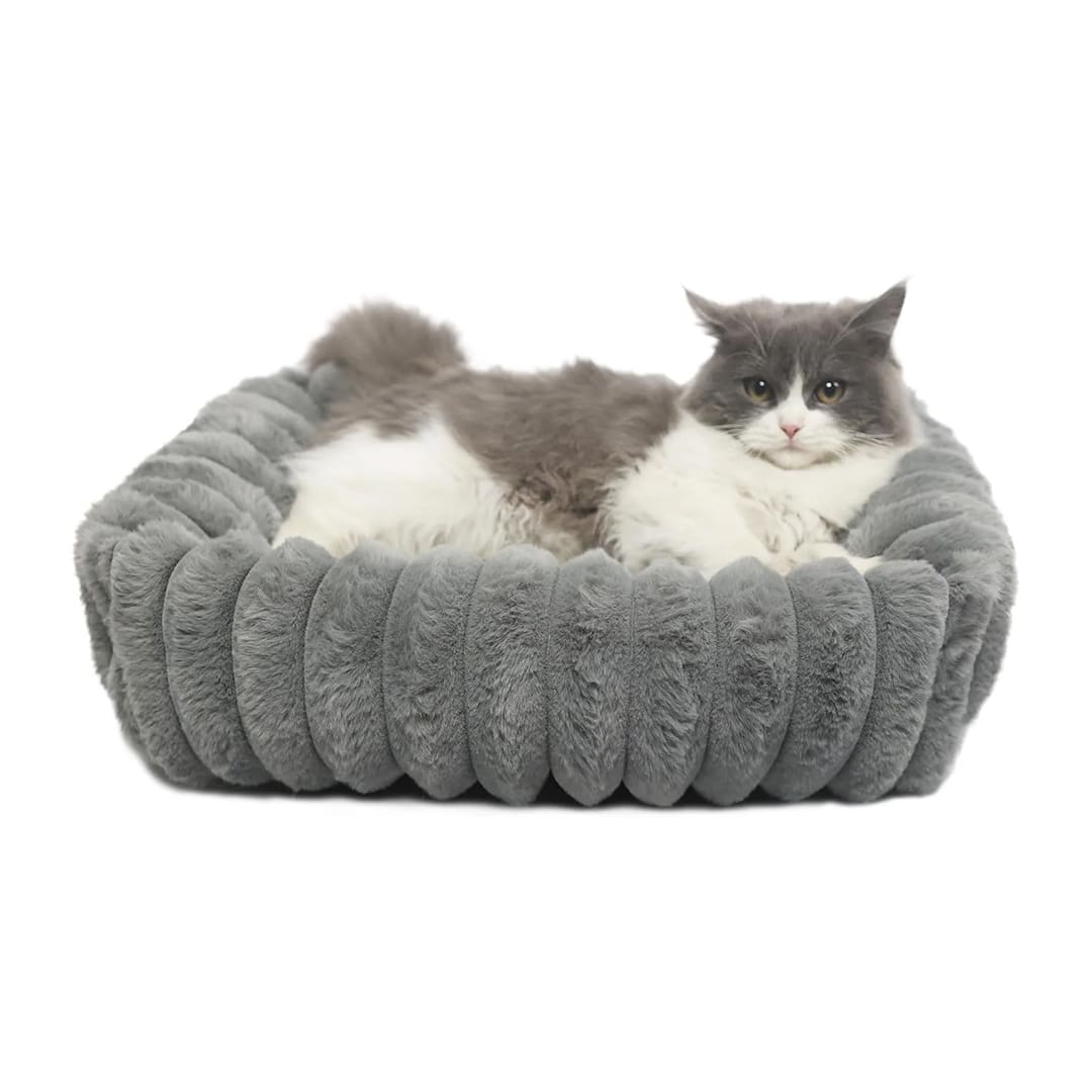 orthopedic kitten bed warm grey