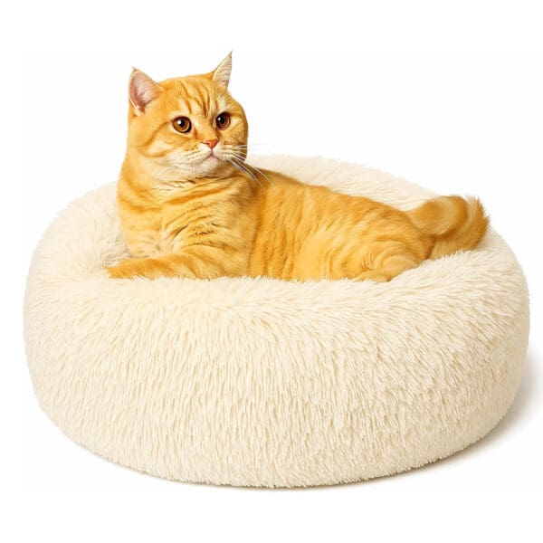 round cat bed bed cream