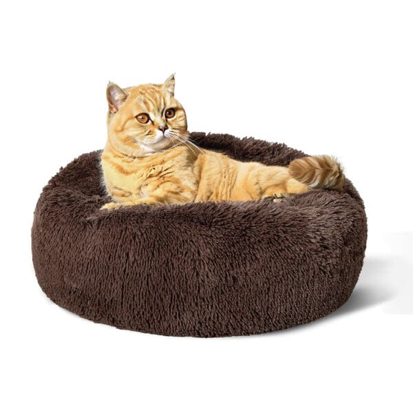 round cat bed coffee