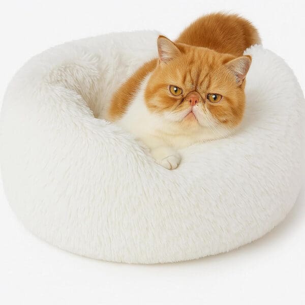 round cat bed white