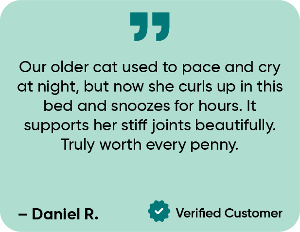 Daniel R mobile view@300x