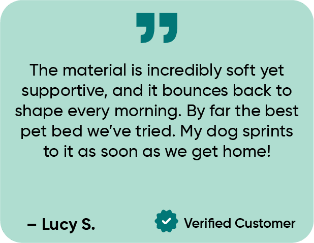 Lucy T mobile view@300x