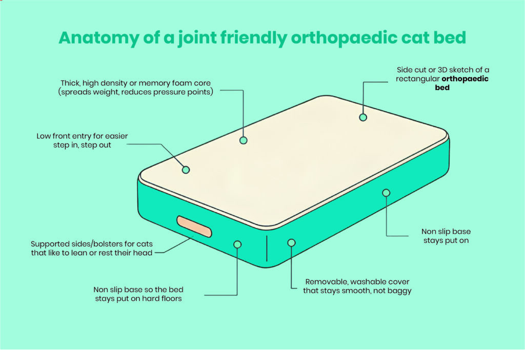 02 orthopedic cat bed o2.jpg