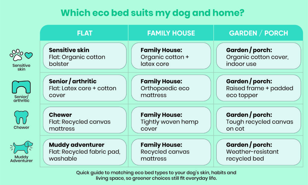08 eco friendly dog bed.jpg