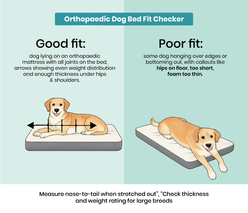 10 orthopedic dog bed 01