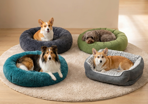 How to Choose the Best Calming Dog Bed for Anxiety Relief
