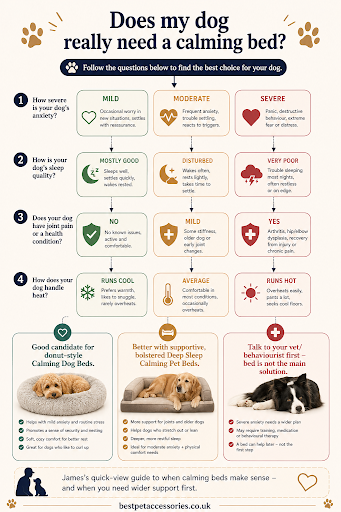 Does my dog really need a calming bed